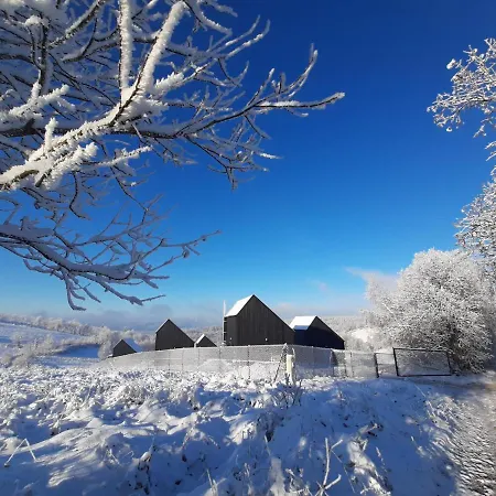 Antracytowe W Gorach Sowich *