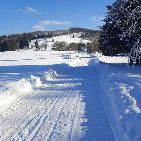 Antracytowe W Gorach Sowich Holiday home Sierpnica