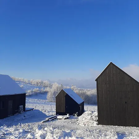 Antracytowe W Gorach Sowich * Sierpnica