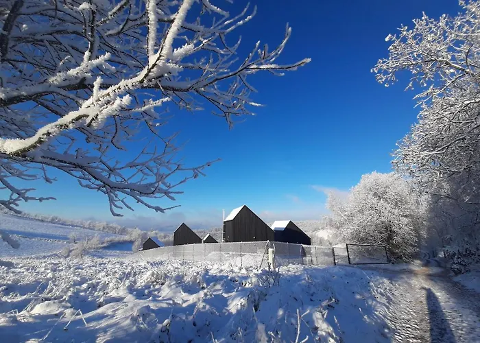 Antracytowe W Gorach Sowich *