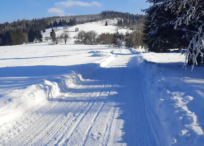 Antracytowe W Gorach Sowich Дом отдыха Sierpnica